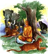 点击看大图及经文