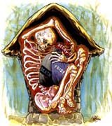 点击看大图及经文