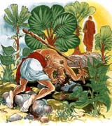 点击看大图及经文