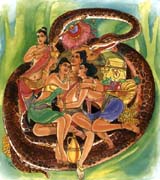 点击看大图及经文